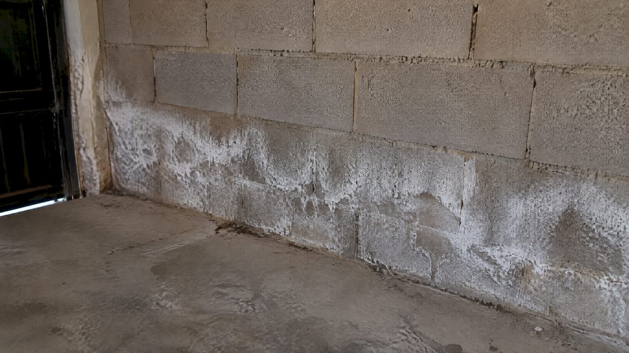 Manchas blancas de salitre en la pared cerca del suelo